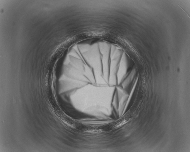 X0000081430543200702021655