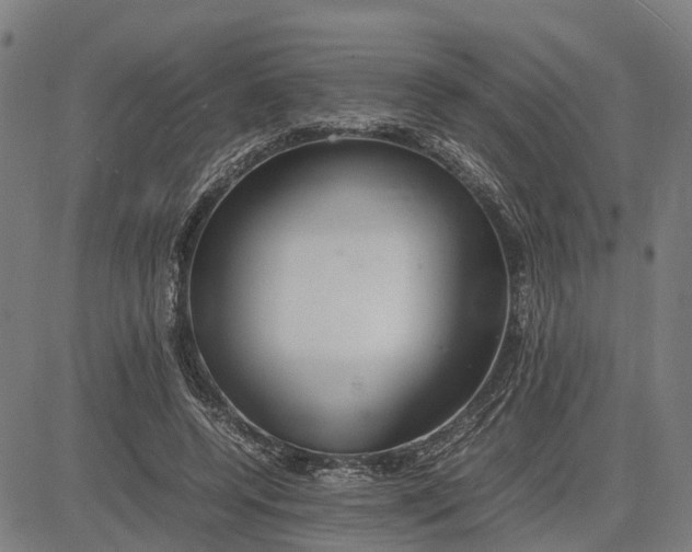 X0000081430544200702021655