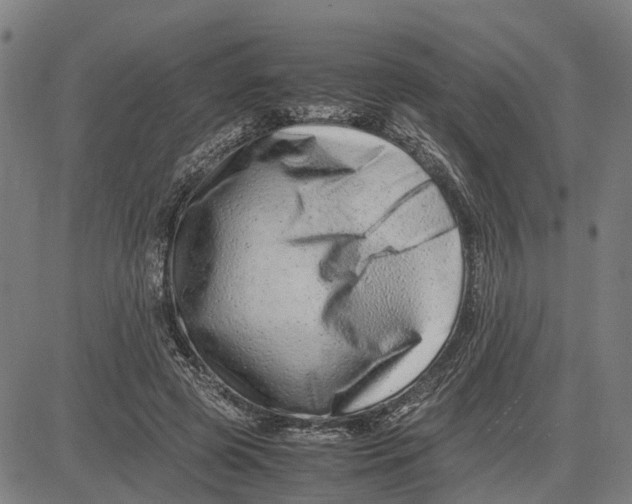 X0000081430545200702021655