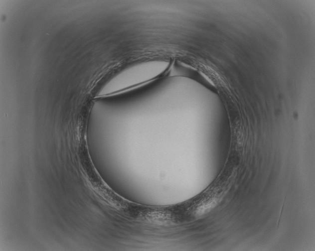 X0000081430546200702021655