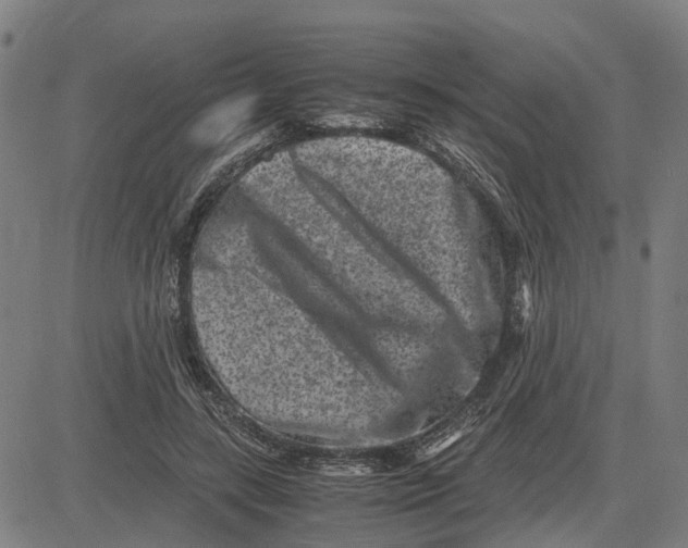 X0000081430547200702021655