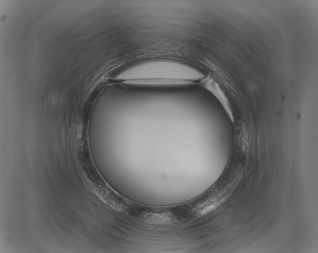 X0000081430548200702021655