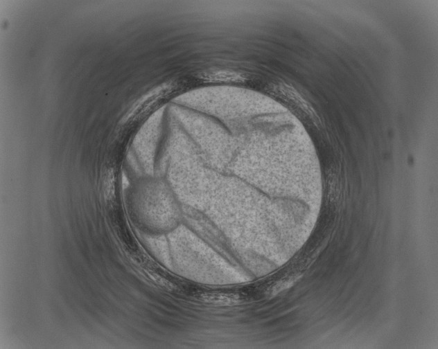 X0000081430549200702021655