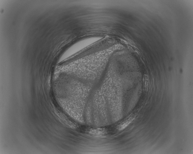 X0000081430550200702021655