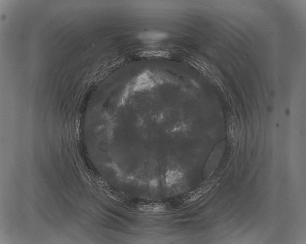 X0000081430551200702021655