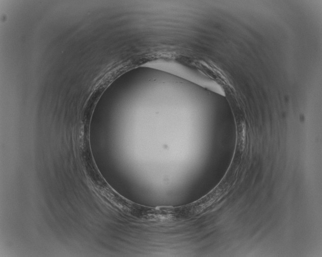 X0000081430552200702021655