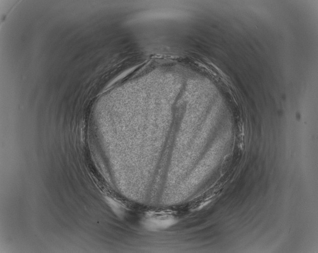 X0000081430553200702021655