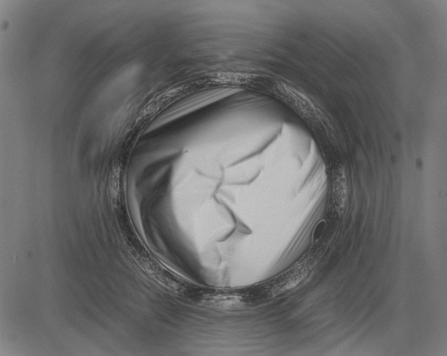 X0000081430554200702021655