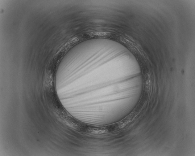 X0000081430555200702021655