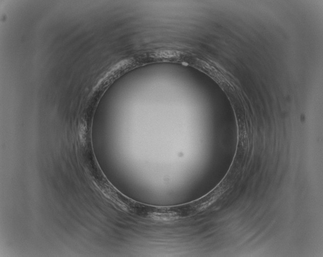 X0000081430556200702021655