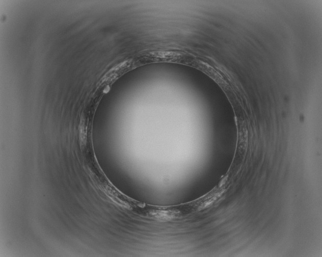 X0000081430558200702021655