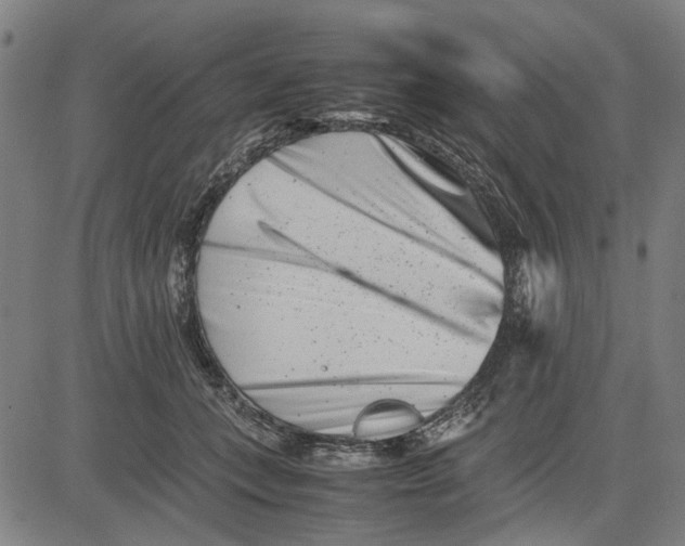 X0000081430559200702021655