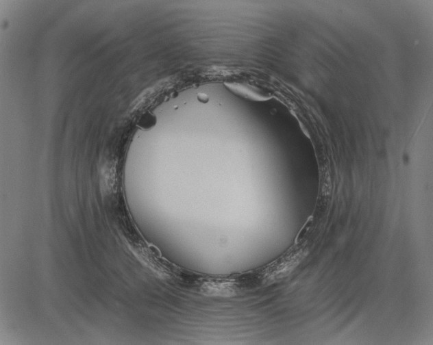 X0000081430560200702021655