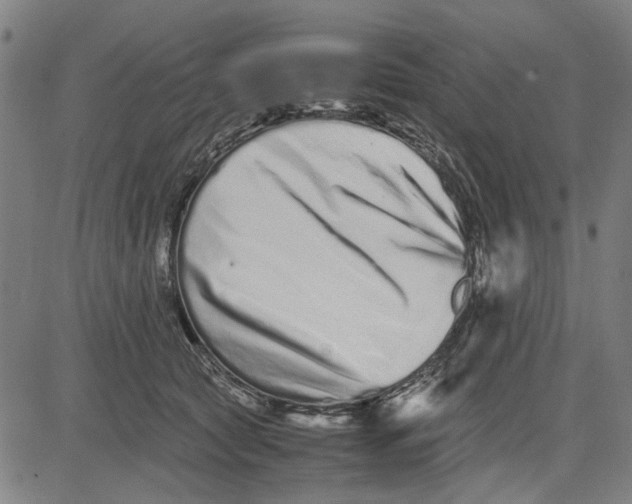 X0000081430561200702021655