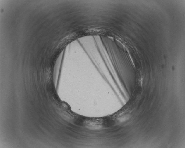 X0000081430563200702021655