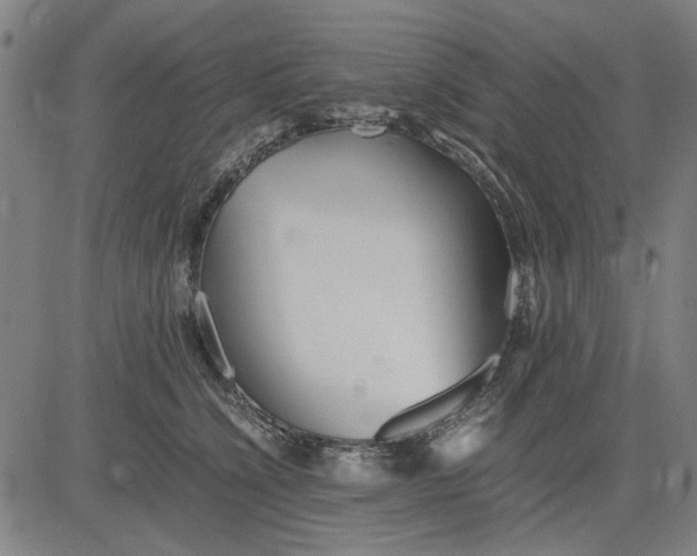 X0000081430564200702021655