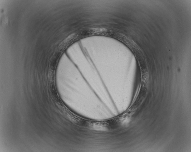 X0000081430565200702021655