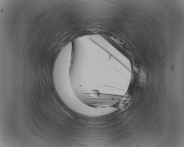 X0000081430566200702021655