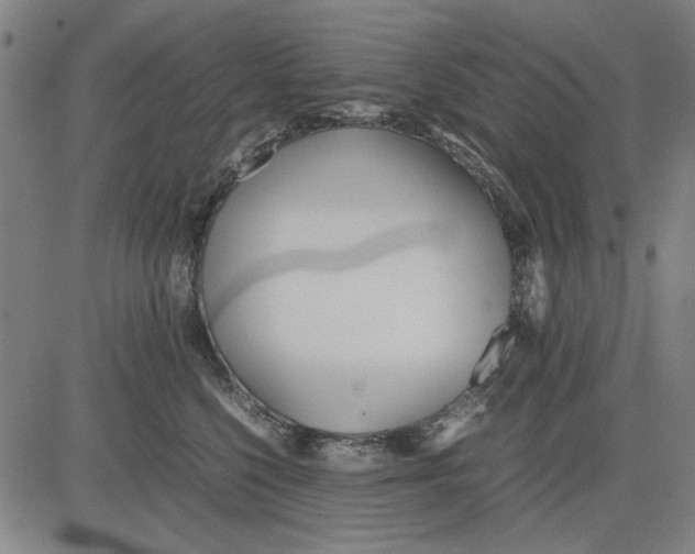 X0000081430568200702021655