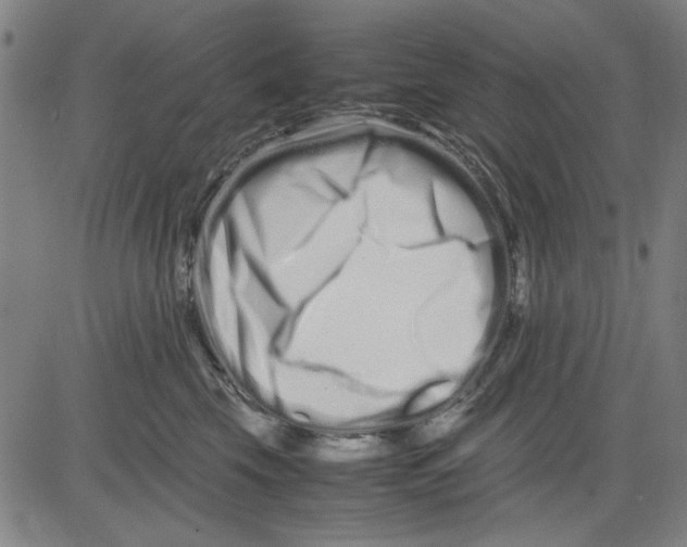 X0000081430569200702021655