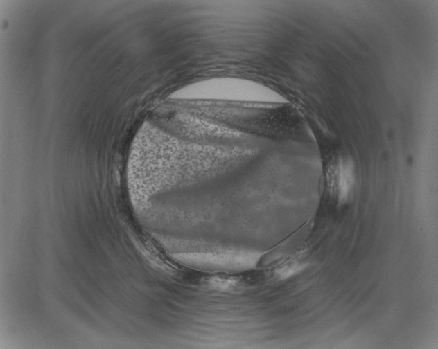 X0000081430570200702021655