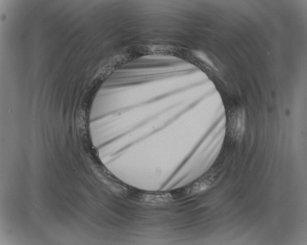 X0000081430571200702021655