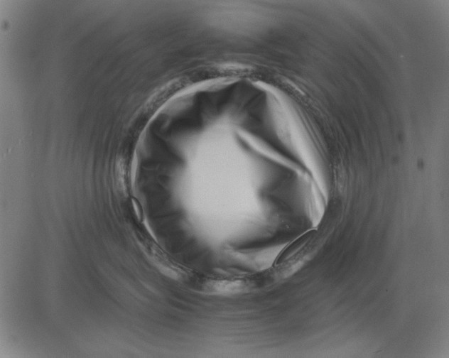 X0000081430575200702021655