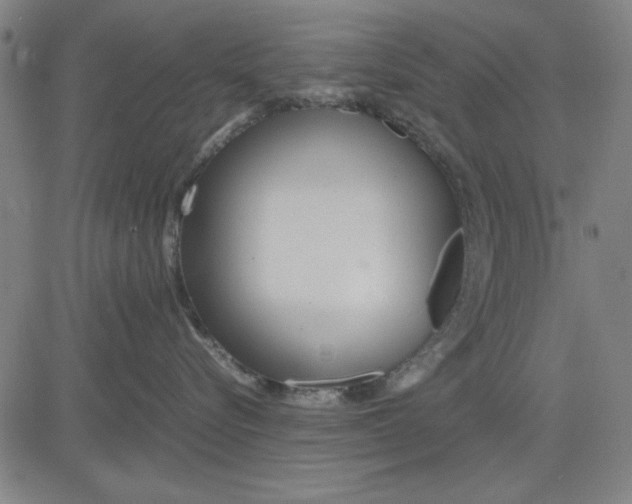 X0000081430576200702021655