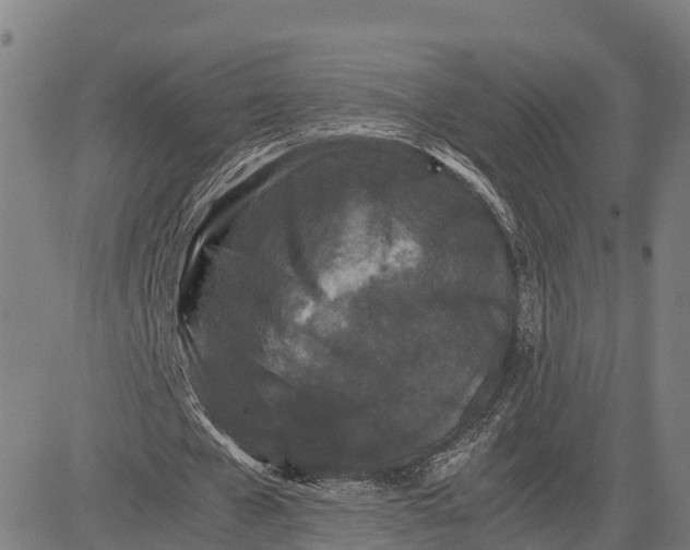 X0000081430577200702021655