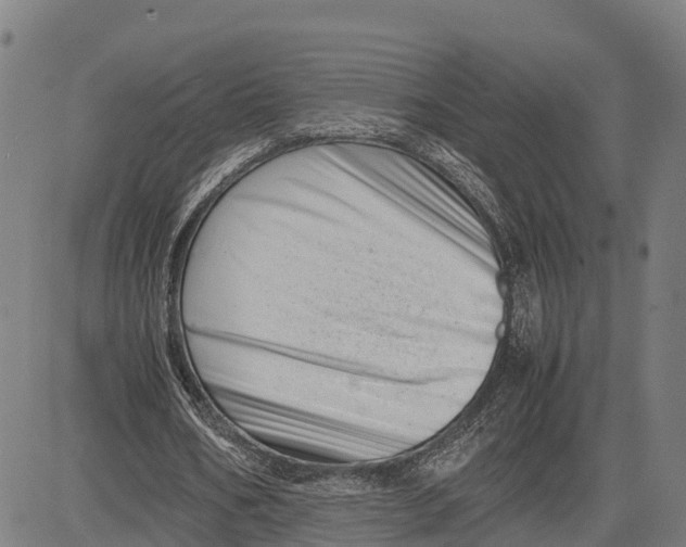 X0000081430578200702021654