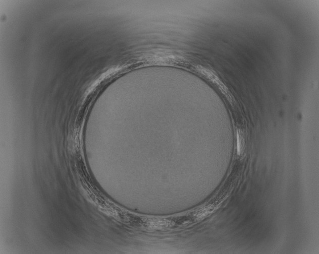 X0000081430579200702021654