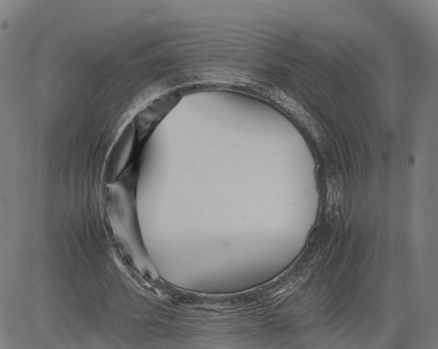 X0000081430580200702021654