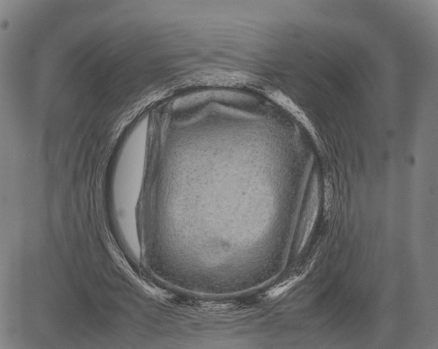 X0000081430581200702021654