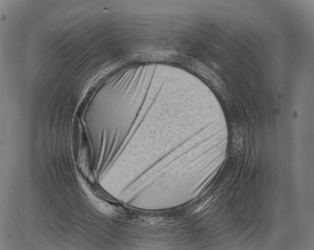 X0000081430582200702021654