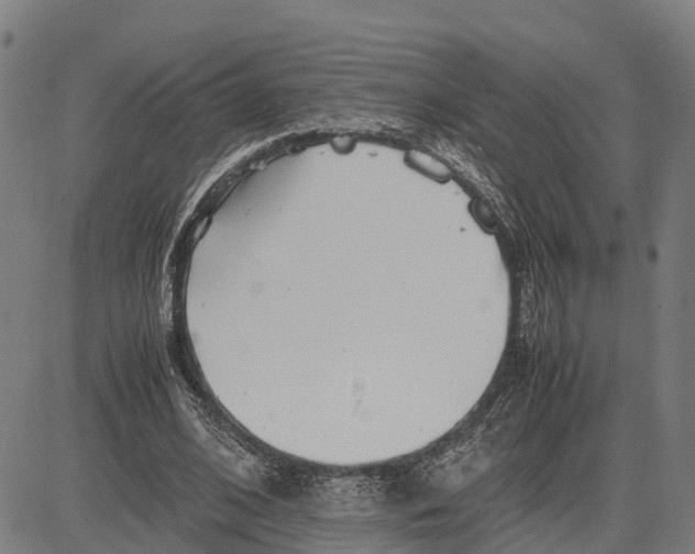 X0000081430584200702021654