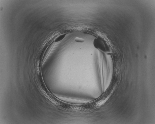 X0000081430585200702021654