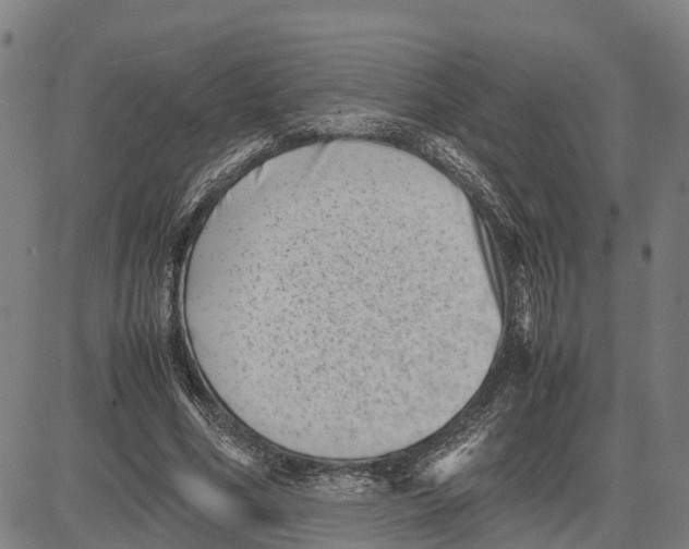 X0000081430586200702021654