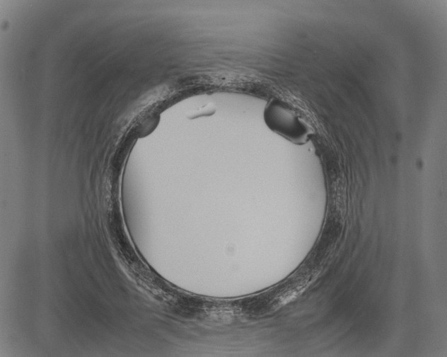 X0000081430587200702021654