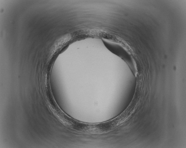 X0000081430589200702021654