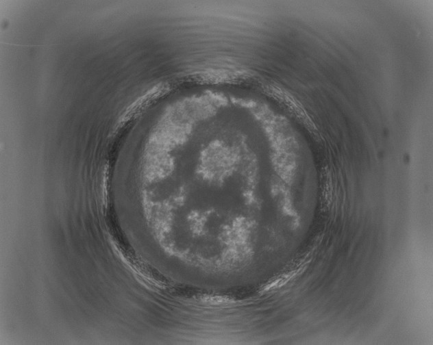 X0000081430590200702021654