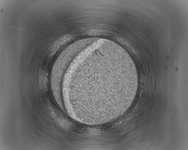 X0000081430592200702021654