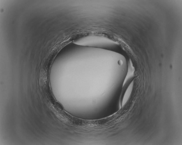 X0000081430593200702021654