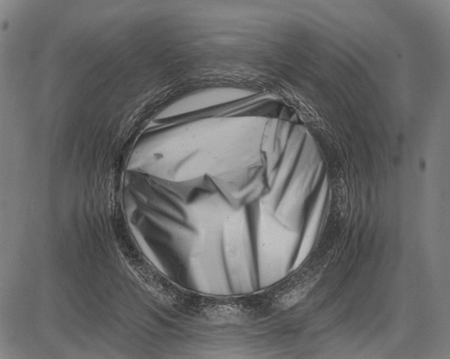 X0000081430594200702021654