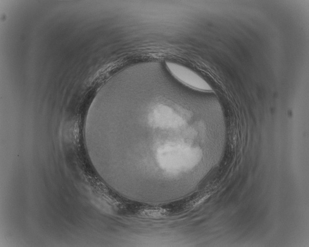 X0000081430595200702021654