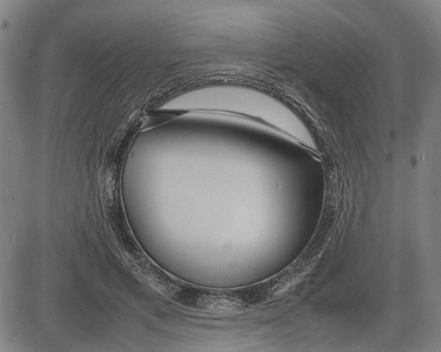 X0000081430597200702021654