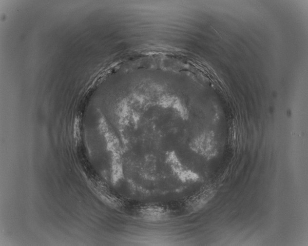 X0000081430598200702021654