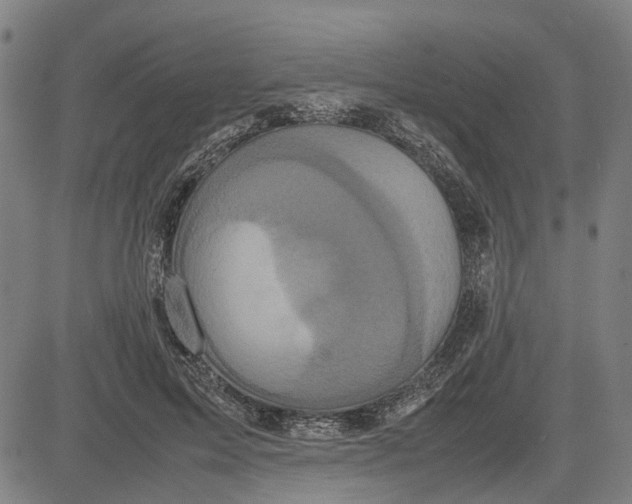 X0000081430599200702021654