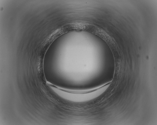 X0000081430600200702021654