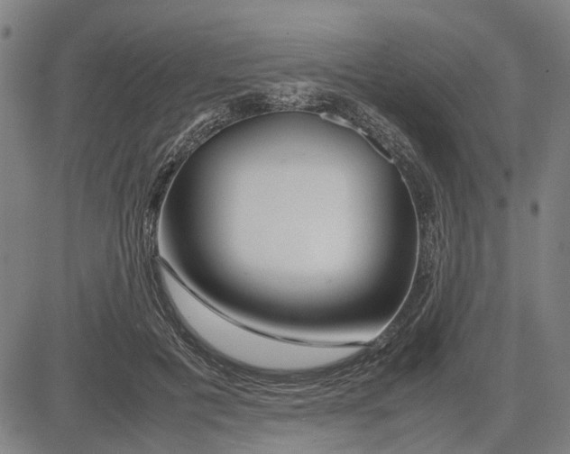 X0000081430601200702021654