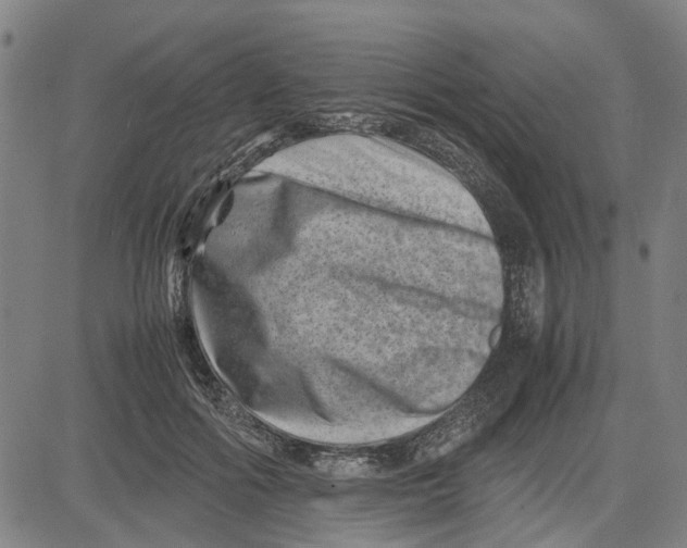 X0000081430602200702021654